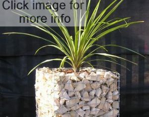 tall gabion planter