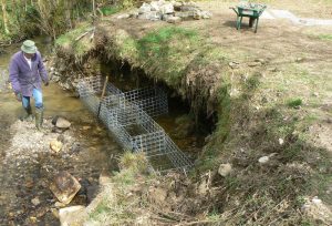 gabion cages placed in river